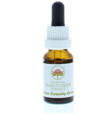 Australian Bush Yellow cowslip orchid 15 Milliliter