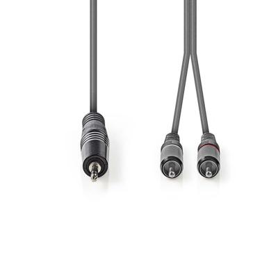 Nedis Stereo-Audiokabel | 3,5 mm Male naar 2x RCA Male | 3 m | 1 stuks - COTH22200GY30 COTH22200GY30