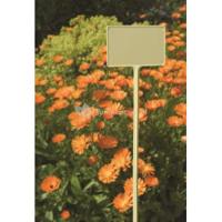 T-etiketten geel 34cm set a 5 stuks Nature - Nature - thumbnail