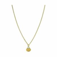 Ketting Dames Rosefield JPNSCG-J268 40-45 cm - thumbnail