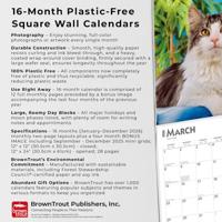 Maine Coon Kalender 2026 - thumbnail