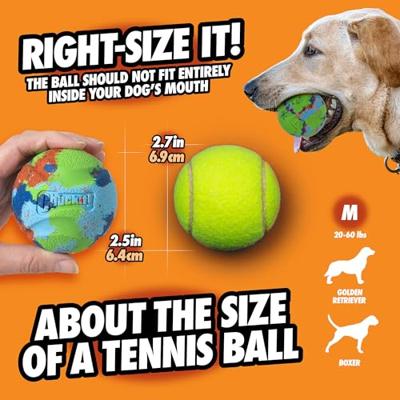 Chuckit ecofetch ball gerecycled