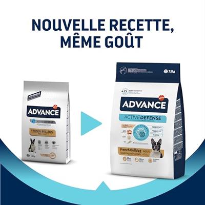 ADVANCE ADULT FRENCH BULLDOG ADVANCE ADULT FRENCH BULLDOG