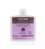 Cattier Shampoo Bamboe Extract - thumbnail