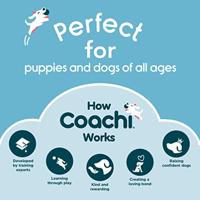 The Company Of Animals Company of animals coachi target stick aanwijsstick blauw - thumbnail