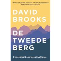 David  Brooks De tweede berg - thumbnail