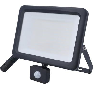 AS Schwabe Optiline 46660 LED-buitenschijnwerper Energielabel: E (A - G) LED 30 W Zwart