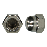 pgb-Europe PGB-FASTENERS | Zeskant dopmoer DIN 1587 M22 A2 | 10 st 001587A0002203 - thumbnail