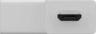 USB C adapter