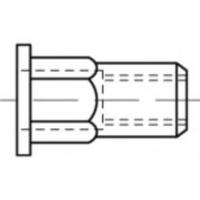 TOOLCRAFT TO-5380581 Popmoer M4 RVS 500 stuk(s) - thumbnail