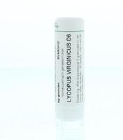 Homeoden Heel Lycopus virginicus D6 6 Gram - thumbnail