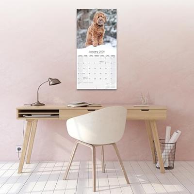 Labradoodle Calendar 2026 Square Dog Breed Wall Calendar - 16 Month