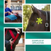 VETKIN Medical Taping Concept Kinesiology Taping voor paarden | Pijnverlichting en revalidatie bij paarden | Uitgebreid boek voor professionals - thumbnail