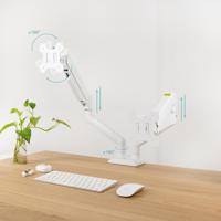 Monitor TooQ DB1434TNR-W 34" 13" - thumbnail