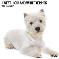 West Highland White Terrier Kalender 2021 Modern - thumbnail