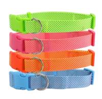 Nobleza Hondenhalsband - Nylon - Stippen - 30 cm - thumbnail