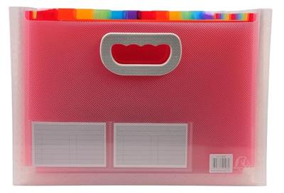 Organiser Map Exacompta Transparant A4 (4 Stuks)