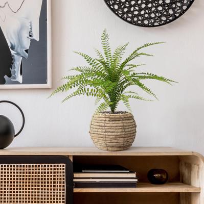 Asplenium Varen kunstplant 45cm Asplenium Varen kunstplant 45cm