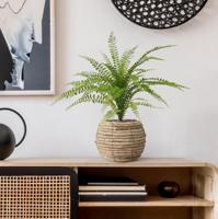 Asplenium Varen kunstplant 45cm - thumbnail