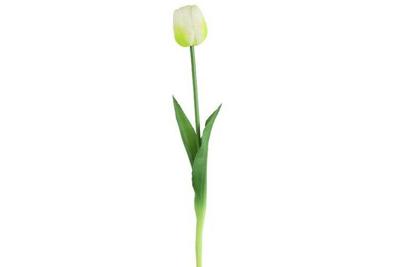 Decostar Tulp 45 cm wit Decostar Tulp 45 cm wit