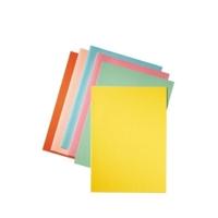 Esselte dossiermap groen, papier van 80 g/m², pak van 250 stuks - thumbnail