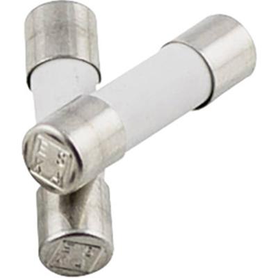 ESKA 520523 Buiszekering (Ø x l) 5 mm x 20 mm 4 A 250 V Snel -F- Inhoud 10 stuk(s)