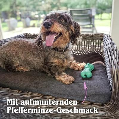 Moodies DJ Derpy (Reactive)