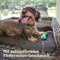 Moodies DJ Derpy (Reactive) - thumbnail