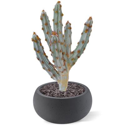 Tetragonus kunst Cactus 35cm - bruin