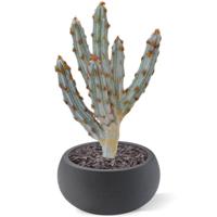 Tetragonus kunst Cactus 35cm - bruin - thumbnail