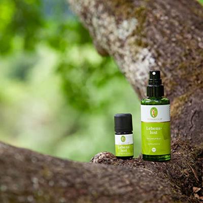 Primavera Joy of life blend 5 Milliliter