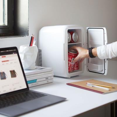 Mini koelkast wit - camping koelkast - 220V- 12V