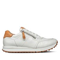 Paul Green 4085 - alle - thumbnail