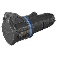 Walther Werke FW311306SK FW311306SK CEE-koppeling 16 A 3-polig 250 V 1 stuk(s)