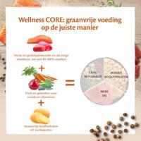 Wellness CORE Ocean, zalm & tonijn, 4kg, droogvoer voor alle katten, ondersteunt een gezonde vacht & huid, natuurlijk & graanvrij droog kattenvoer - thumbnail