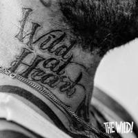 Wild At Heart - LP (0634164606213) - thumbnail