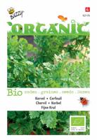 Zaden Organic Kervel Fijne Krul (BIO) Buzzy - Buzzy - thumbnail