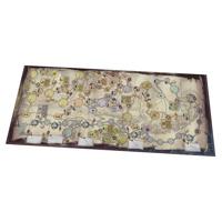 Darwin's Journey Fireland Expansion - thumbnail