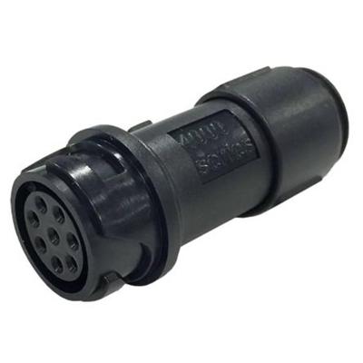 Bulgin PXP4011/08S/6065 Ronde connector Koppeling, recht Totaal aantal polen: 8 Serie (ronde connectoren): Buccaneer 4000 1 stuk(s)