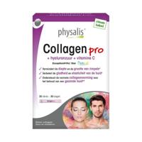 Physalis Collagen Pro Sachets - thumbnail