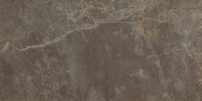 Roma Stone Pietra Brown mat 60x120 rett