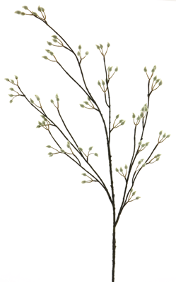 Pussy willow spray cream 120cm Erutan Avon - Erutan avon