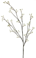 Pussy willow spray cream 120cm Erutan Avon - Erutan avon - thumbnail