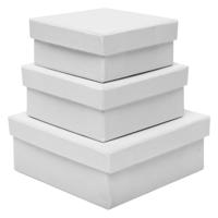 Colorations - papier-mache dozen vierkant, 3st. - thumbnail