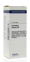 VSM Equisetum arvense D6 20 Milliliter - thumbnail