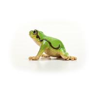 Schleich Europese boomkikker 14882 - thumbnail