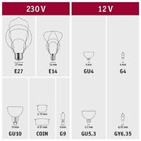 Paulmann LED-buis- Energielabel: E (A - G) G13 T8 22 W Warmwit 1 stuk(s) (Ø) 27 mm - thumbnail