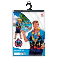 Hawaiishirt Palm Beach - thumbnail