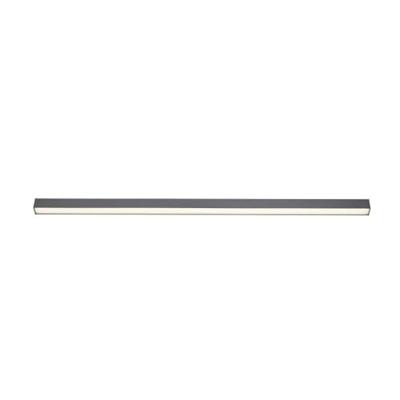 Paul Neuhaus Strakke plafondlampPure Lines Straight antraciet - 6021-13
