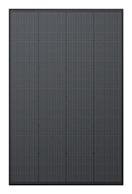 ECOFLOW 175W - Rigid Monokristallijn zonnepaneel 175 W 22.3